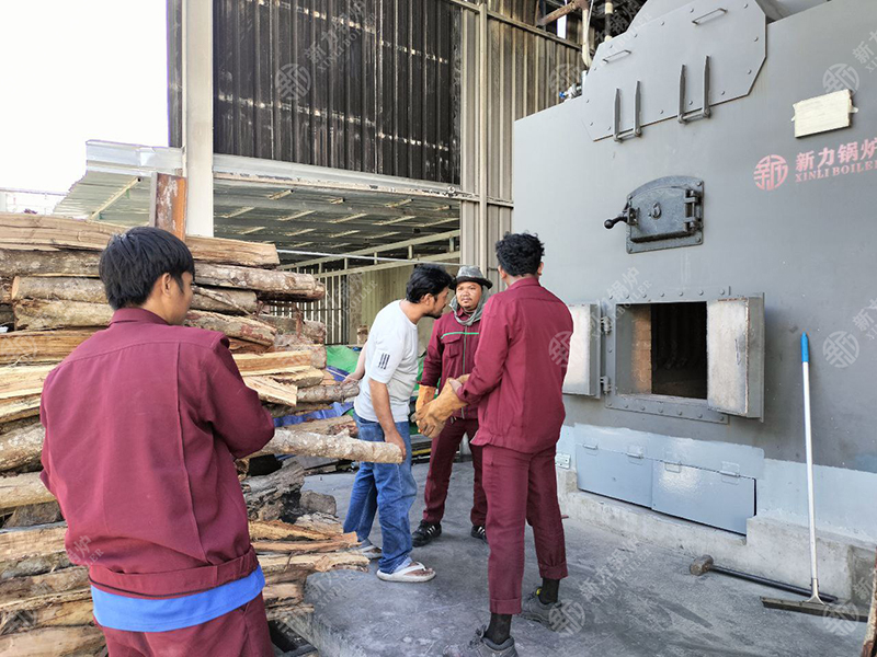 綠色能源助力！新力生物質鍋爐DZH4在柬埔寨食品廠點火試運行成功！