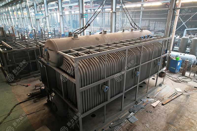 量身定制：新力15噸生物質蒸汽鍋爐在菲律賓食品廠的個性化應用方案